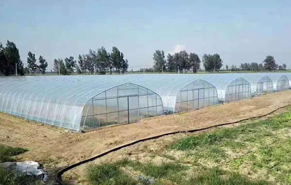 俄罗斯专享会·294(中国游)官方网站