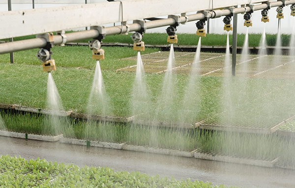 俄罗斯专享会·294(中国游)官方网站